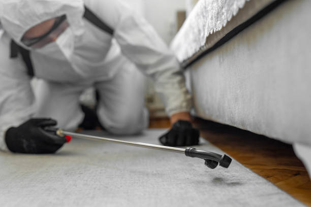 Professional Mosquito Control technician working in Freer, TX