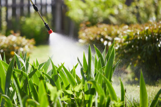24/7 Emergency Mosquito Control experts in Freer, TX