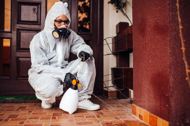 Reliable Mosquito Control contractor in Freer, TX by Nex Pest Control
